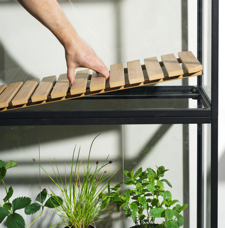 Grower Greens Armoire à plantes Noir