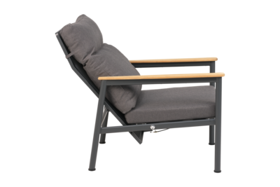 Gordon fauteuil Anthracite/Soft Dawn