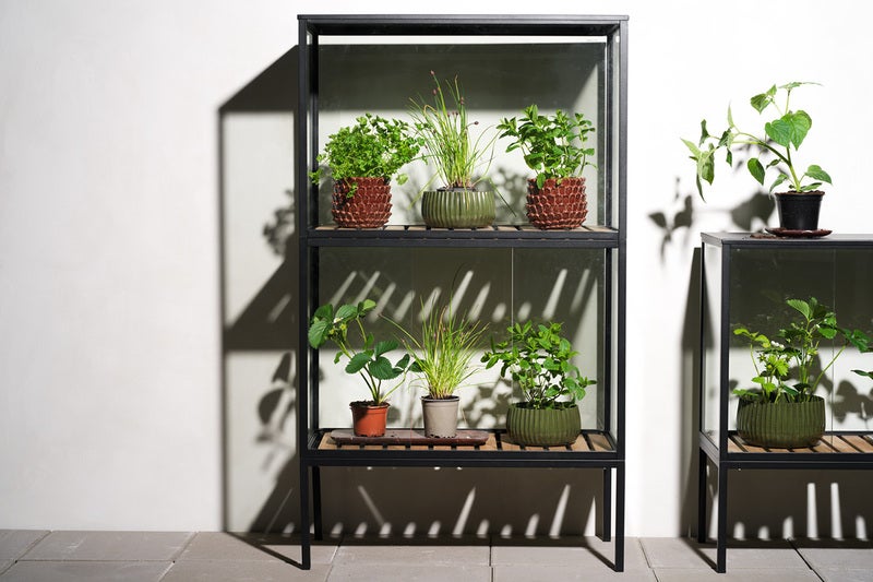 Grower Greens Armoire à plantes Noir