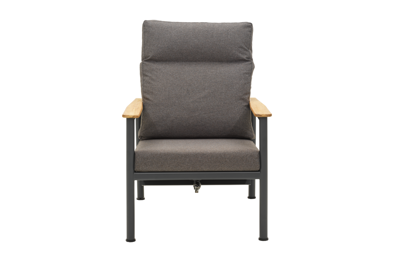 Gordon fauteuil Anthracite/Soft Dawn