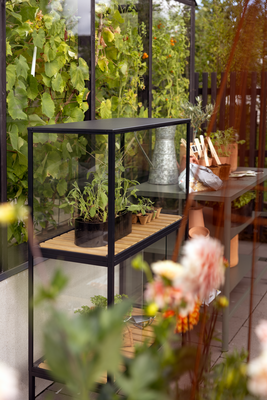 Grower Greens Armoire à plantes Noir