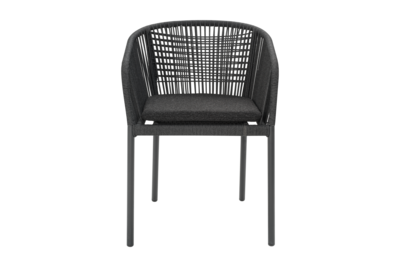 Delta fauteuil Anthracite/Teddy Black