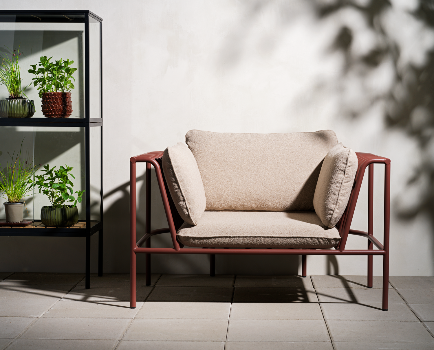 Grower Greens Armoire à plantes Noir