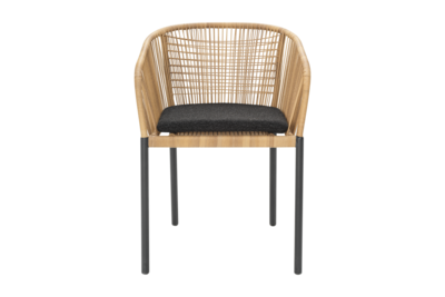 Delta fauteuil Anthracite/Teddy Black