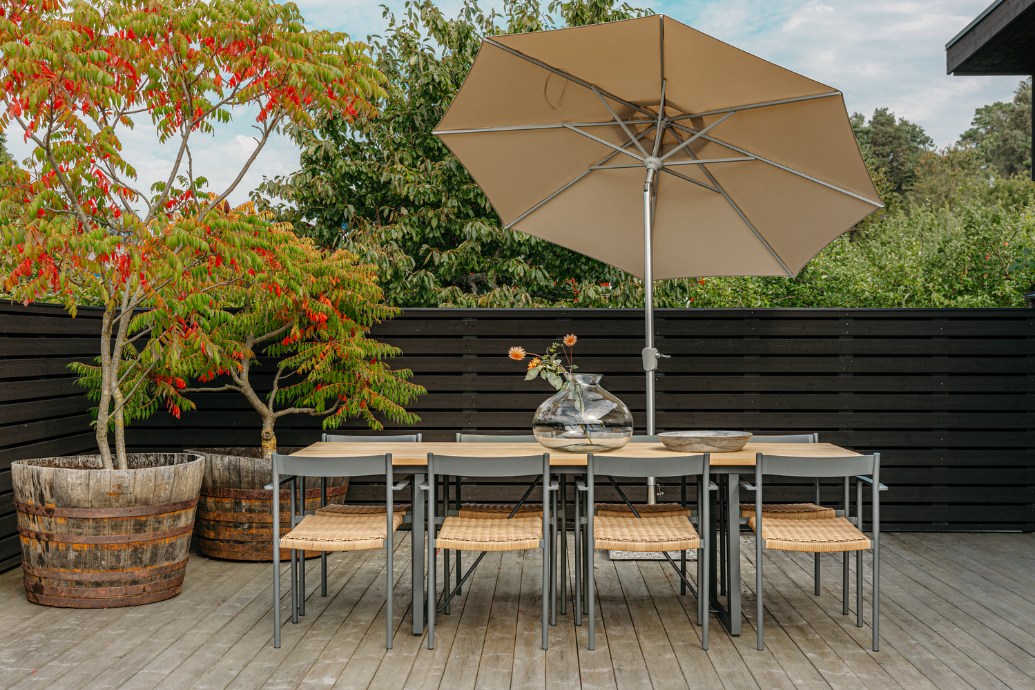 DK chaise de table Antracit/Natur