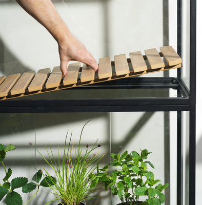 Grower Greens Armoire à plantes Noir